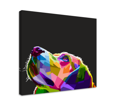 Tableau de chien Chien arc-en-ciel - TenStickers