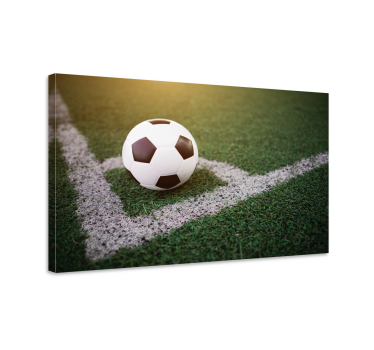 Tableau décoratif Beau football sur herbe - TenStickers