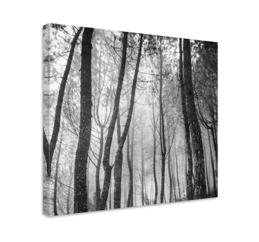 Tableau paysage Forêt brumeuse d'en haut - TenStickers