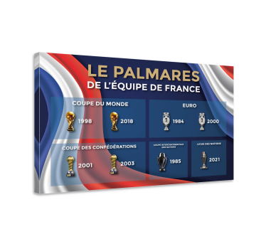 Tableau décoration murale Trophée football - TenStickers