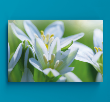 Tableau fleurs Prairie de magnifiques perce-neige - TenStickers