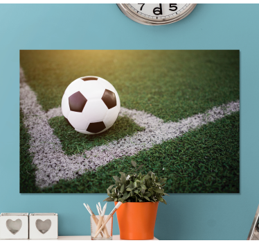 Tableau décoratif Beau football sur herbe - TenStickers