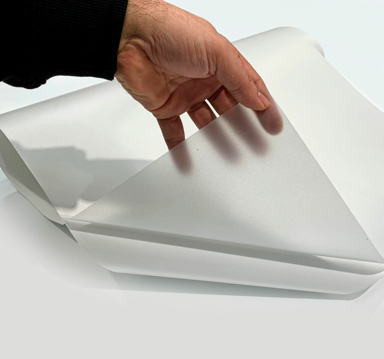 Sticker fenêtre translucide basique - TenStickers