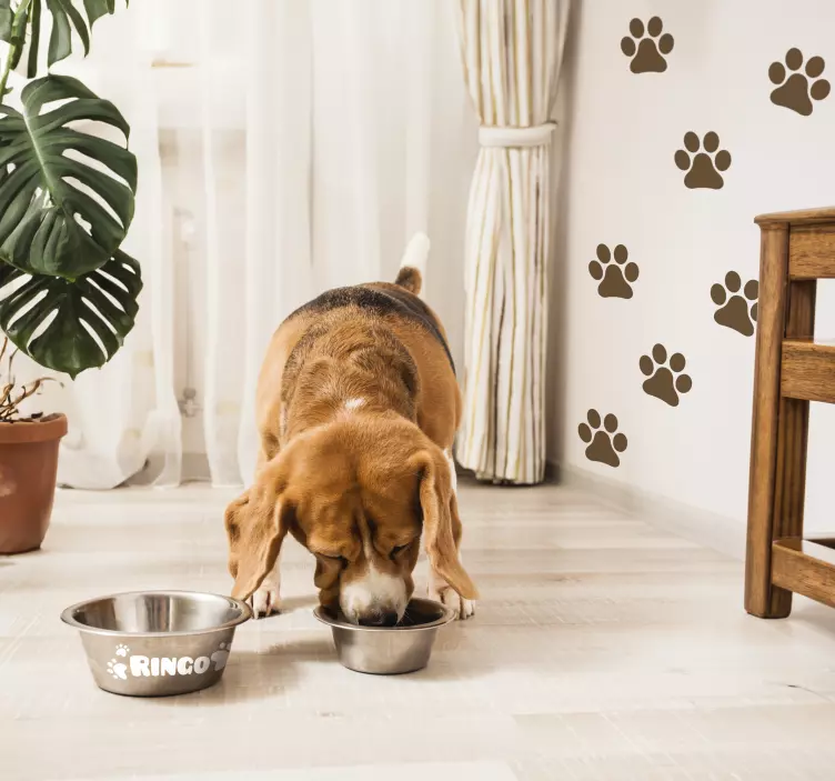 Sticker mural pour salon empreintes pattes d'animaux - TenStickers