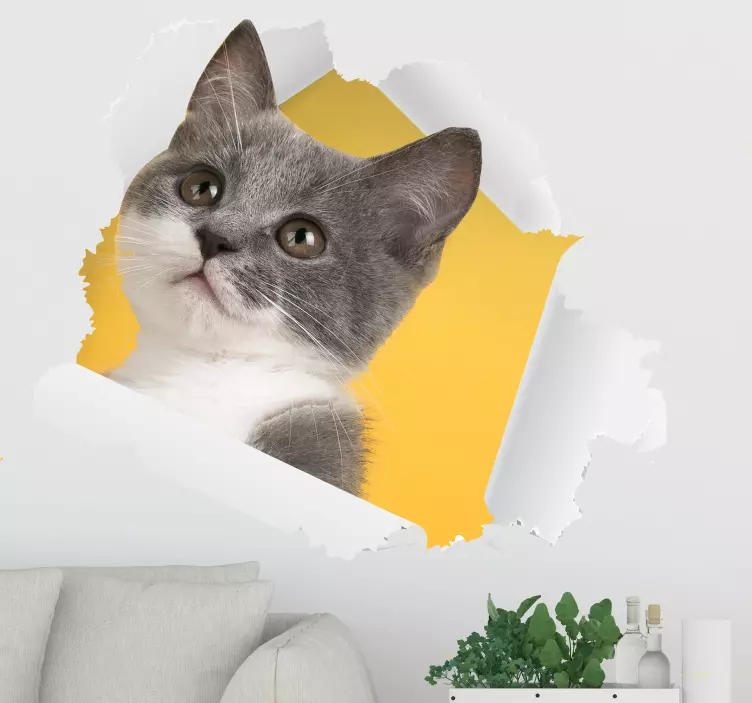Sticker trompe l'œil chat 3d - TenStickers