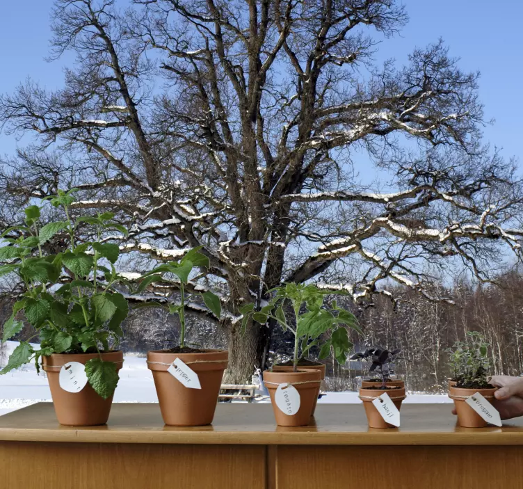 Photo murale arbre enneigé - TenStickers