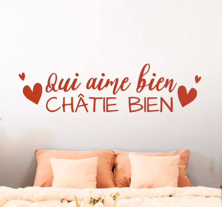 Sticker expression française Qui aime bien - TenStickers