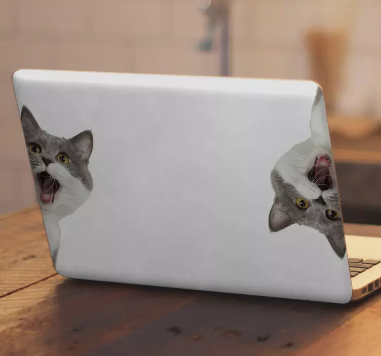 Sticker Ordinateur Portable Chat espionnage sur fond blanc - TenStickers