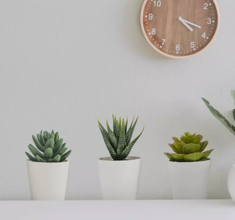 Sticker mural salon 3D plantes - TenStickers