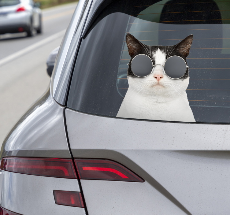 Sticker voiture chat avec des lunettes de soleil - TenStickers