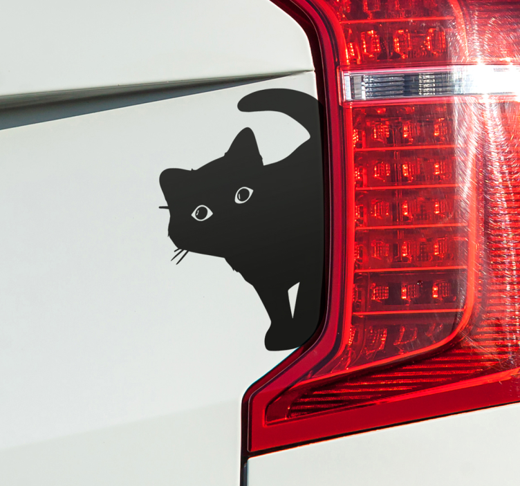 Sticker voiture chat curieux - TenStickers