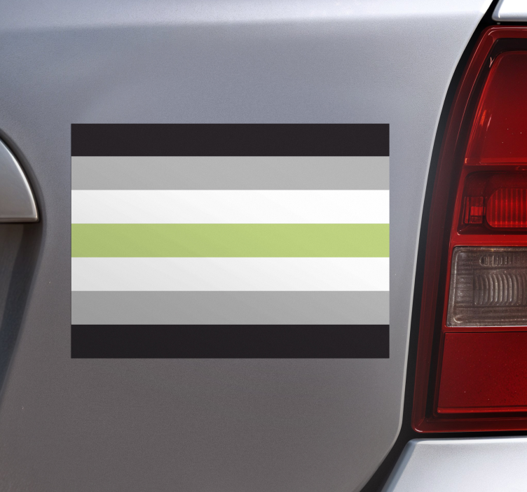 Sticker voiture drapeau agender - TenStickers