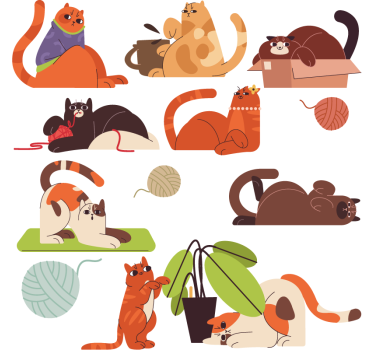 Sticker fenêtre jouer aux chats - TenStickers