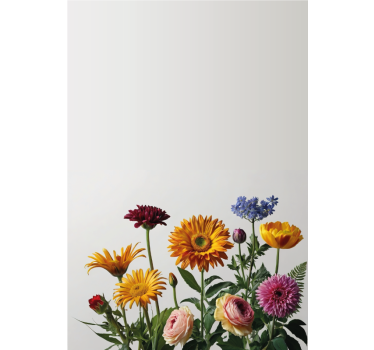 Sticker fenêtre motif de marguerites - TenStickers