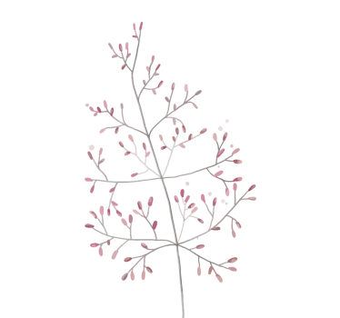 Film occultant fenêtre petites branches - TenStickers