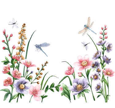 Sticker fenêtre fleurs et libellules - TenStickers