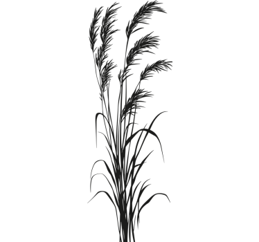 Sticker plante roseaux ondulants - TenStickers