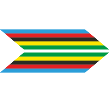 Sticker vélo flèches couleurs champion du monde - TenStickers