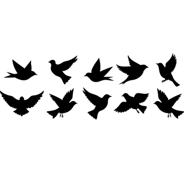 Sticker fenêtre 10 oiseaux anti-collision - TenStickers