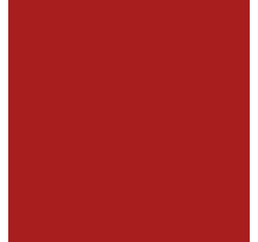 Papier adhésif - Rouge Mat - TenStickers