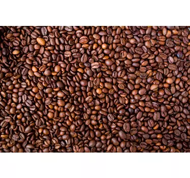 Sticker pièce grains de café - TenStickers