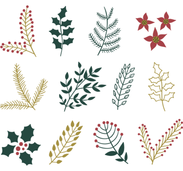 Sticker fleurs de noël coloré - TenStickers