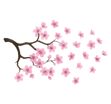 Sticker voiture fleur de cerisier rose - TenStickers