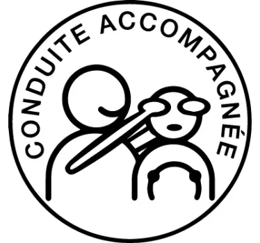 Sticker voiture conduite accompagnée humour - TenStickers
