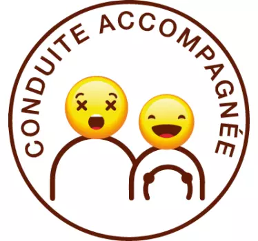 Adhésif voiture conduite accompagnée humour - TenStickers