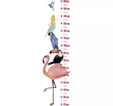 Sticker toise oiseaux exotiques - TenStickers