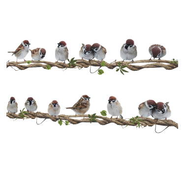 Sticker fenêtre moineaux sur branches - TenStickers