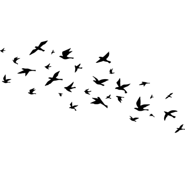 Sticker camping car vol de oiseaux en plein vol - TenStickers