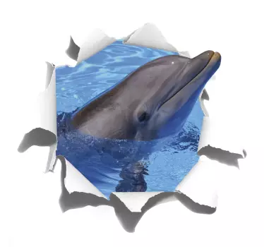 Sticker trompe l'œil dauphin - TenStickers