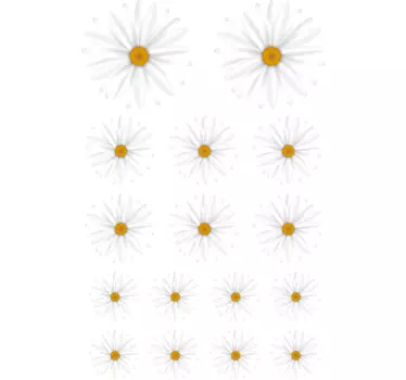 Sticker fleurs pack de marguerites - TenStickers