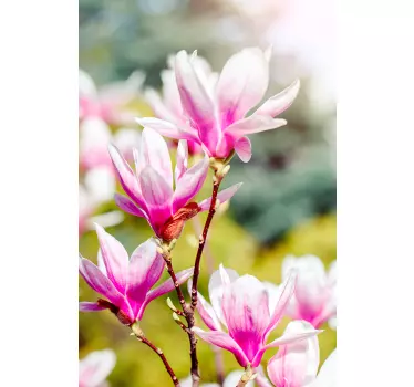 Sticker fenêtre fleurs de magnolias - TenStickers
