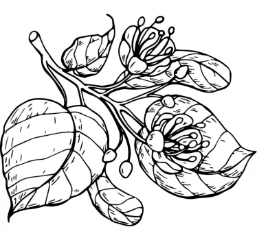 Sticker fleurs et plantes bouquet de feuilles botaniques - TenStickers