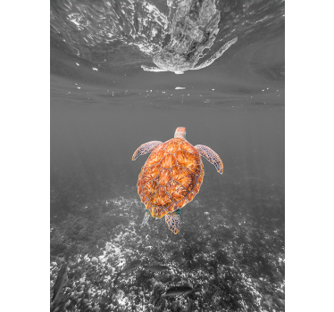 Enveloppe de réfrigérateur de natation tortue noir et blanc - TenStickers