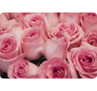 Sticker pc Fleurs roses - TenStickers