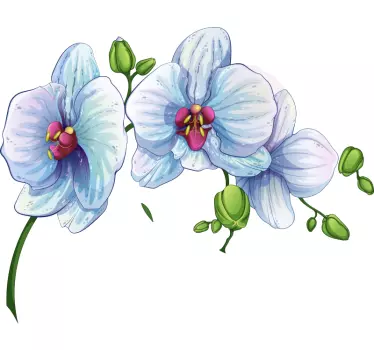 Sticker Mural Fleur Orchidée blanche - TenStickers
