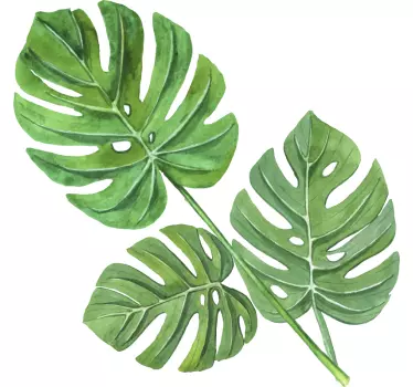 Autocollant mural plante grandes feuilles vertes - TenStickers