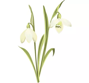 Sticker Mural Fleur Plante de perce-neige - TenStickers