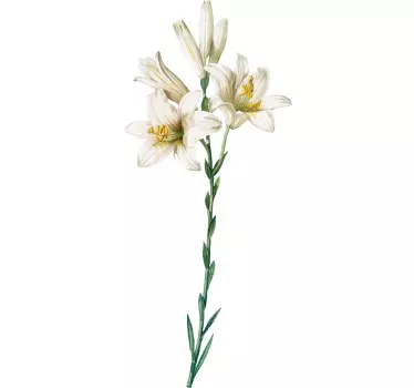 Sticker Mural Fleur Vintage madonna lily - TenStickers