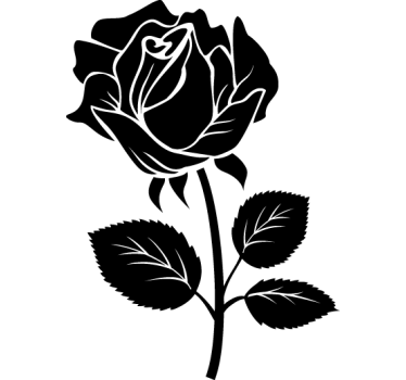 Adhésif floral illustration rose - TenStickers