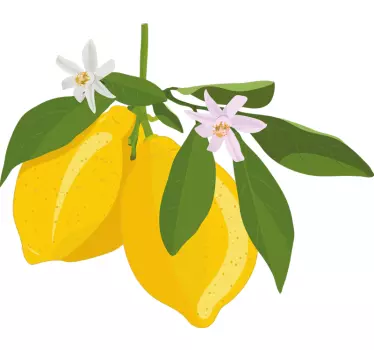 Autocollant Fruit Citronnier - TenStickers