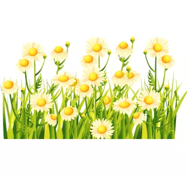 Sticker Mural Fleur Margerites sur le terrain - TenStickers