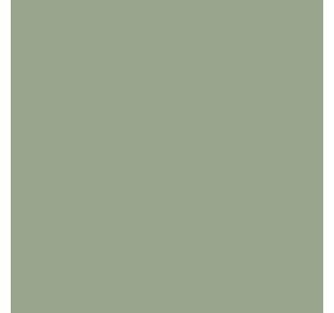 Papier adhésif - Vert Sauge - TenStickers