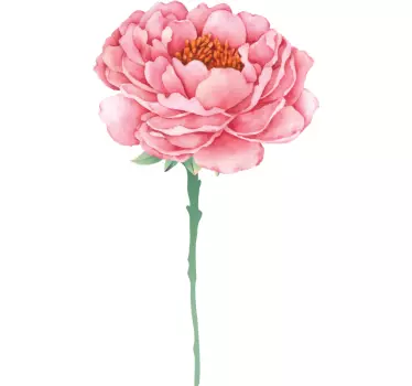 Sticker fleur pivoine en pleine floraison - TenStickers