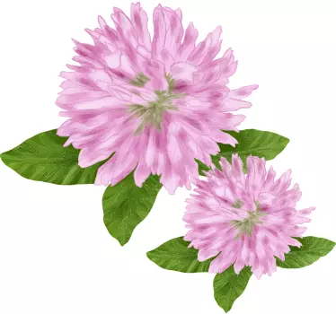 Sticker fleur fleurs roses en pleine floraison - TenStickers