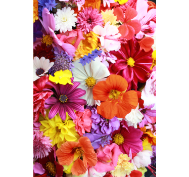 Sticker frigo fleurs couleurs - TenStickers