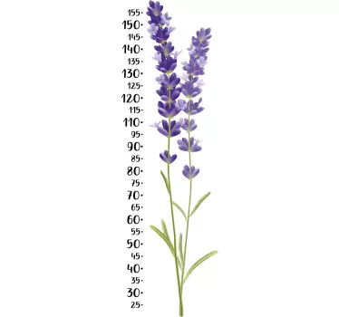 Autocollant Toise plante de lavande - TenStickers